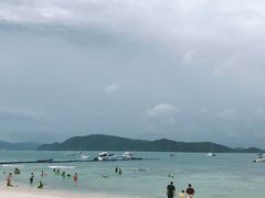 -珊瑚岛
