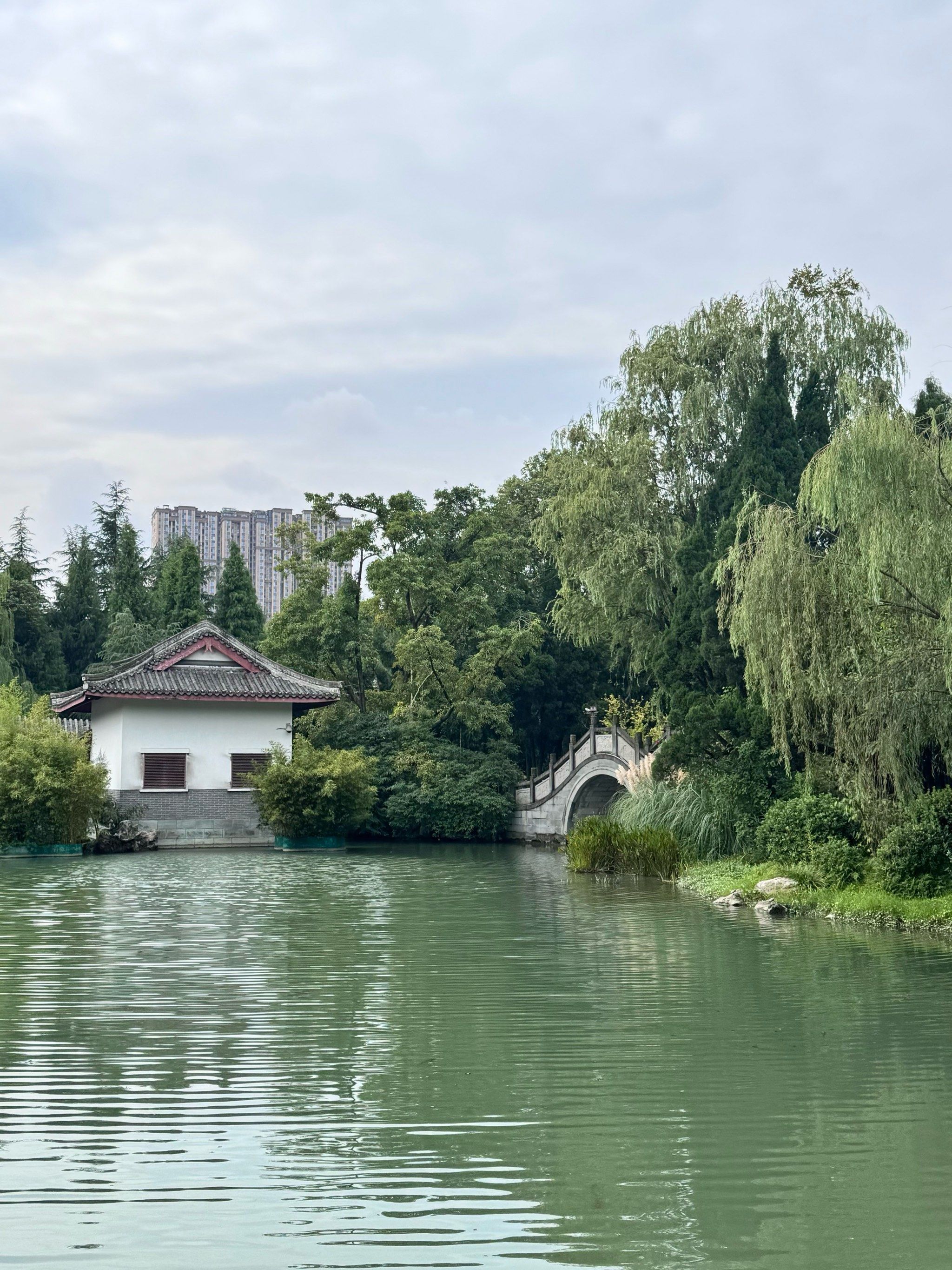 武侯祠附近的南郊公园🌴