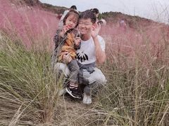 -大塘金香草谷