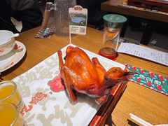 红烧鸽-大鸽饭(岗顶店)
