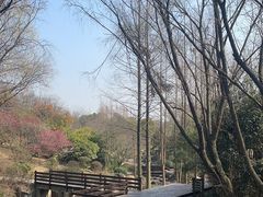 -宝界山林公园