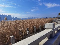-江心屿景区