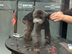 -宠物家(长阳店)