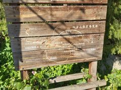 -阳台山自然风景区