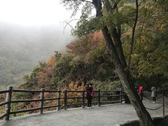 -少华山国家森林公园