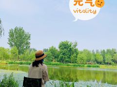 -东郊湿地公园
