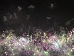 -南宁花花大世界景区