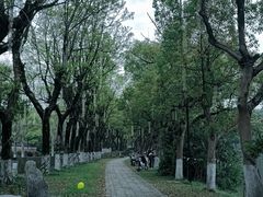 -慈城古县城景区