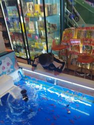 -卡通尼乐园(印象汇店)