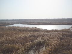 -盐城丹顶鹤湿地生态旅游区