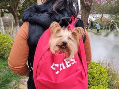 -武汉紫薇都市田园