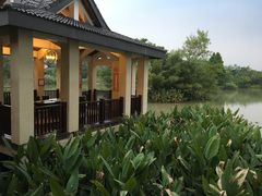 -太极禅苑