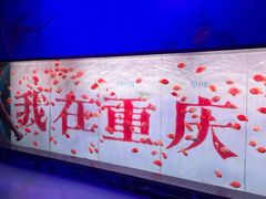 -重庆欢乐海底世界