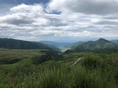 -空中草原