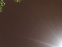 -德阳体育公园(旌阳街道)