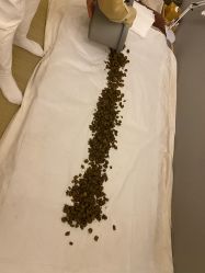 -姜美堂·蒸姜除湿の纤体美颜馆