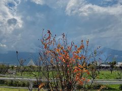 -洱海月湿地公园