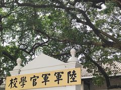 -长洲岛