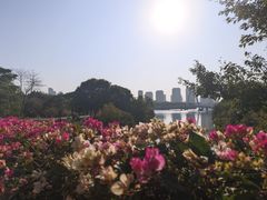 -厦门园林博览苑