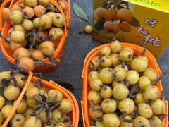 -塘栖枇杷特色园区