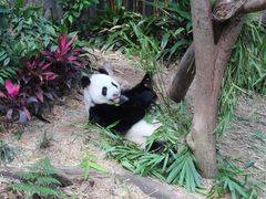 iphone_upload_pic-河川生态园