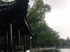 -月湖公园