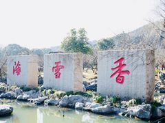 -香雪海