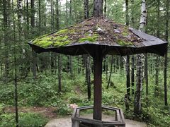 -峡谷浮石林景区