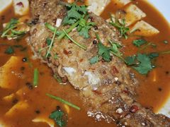 -煲来饱去冷水鱼