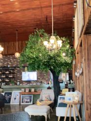 -WPlus明星肖像亲子全家福摄影