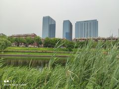 -西海子公园