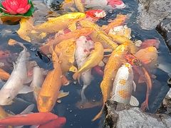 -下海庙