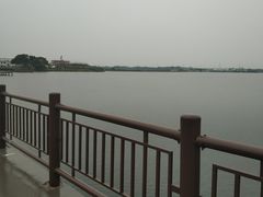 -鹅湖玫瑰文化园