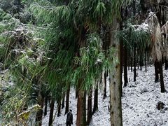 -山王坪喀斯特国家生态公园