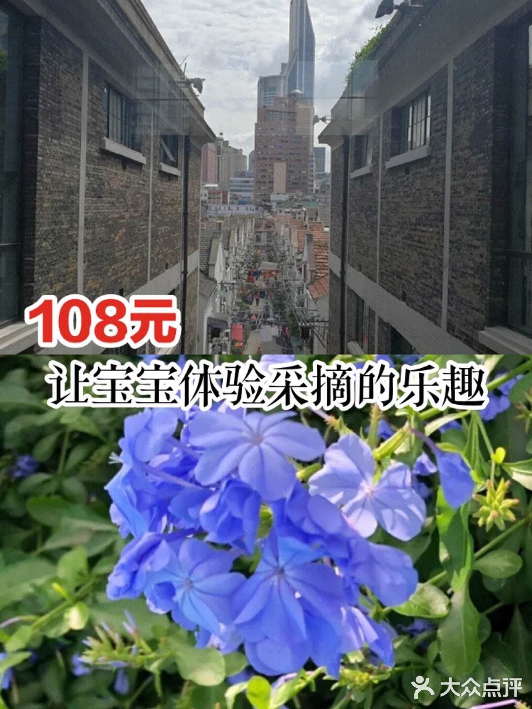 108元让宝宝体验采摘的乐趣[愉快]