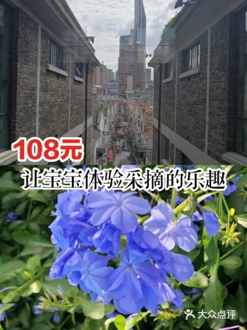 108元让宝宝体验采摘的乐趣