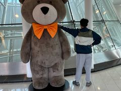 -济州岛泰迪熊博物馆