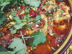 -乡土特色.冷锅鱼.牦牛肉汤锅