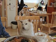 -柴の食堂·日式家庭料理·熊之肆(大学路店)