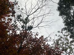 -浙北大峡谷