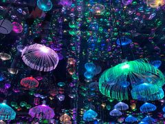 -梵高星空艺术馆(北京旗舰店)