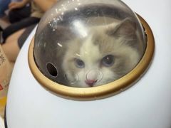 -联合动物医院(光谷诊疗中心)