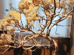 -栾氏荟(柳园店)