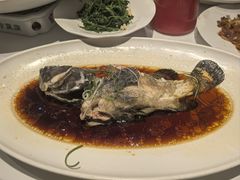 -宝轩渔府·老字号海鲜·正宗津菜(水上店)