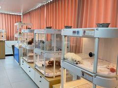 -翊宠yipet猫狗购宠庄园犬舍•猫舍