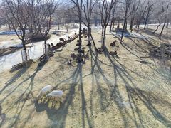 -石家庄市动物园