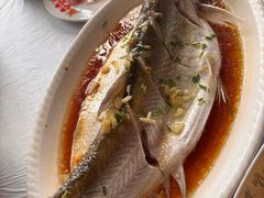 清蒸白水鱼-小六农家乐(崇明西沙湿地店)