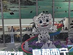 -西宁曹家堡国际机场-T2航站楼