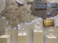 -云南吴氏嘉美医疗美容医院