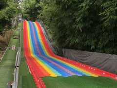 -都江堰玫瑰花溪谷